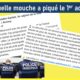 alexandre tacle LFI