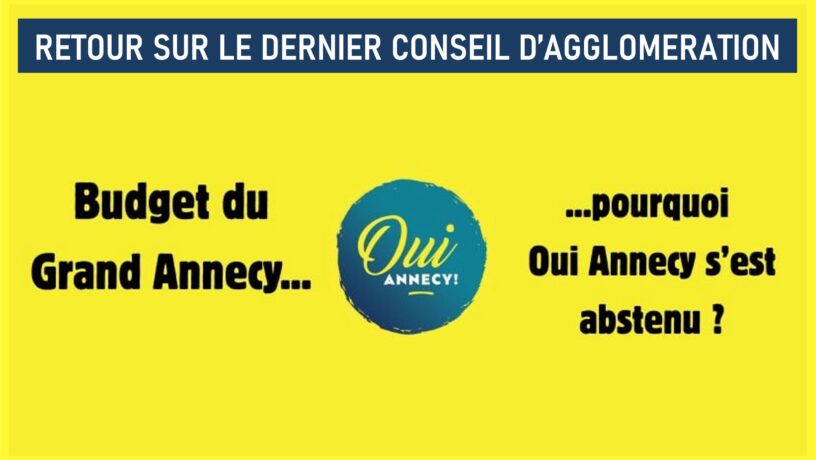 vignette abstention budget GA