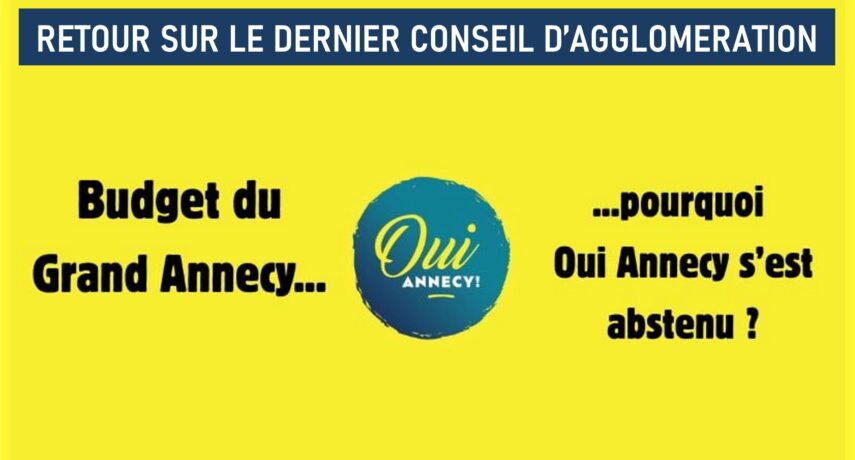 vignette abstention budget GA